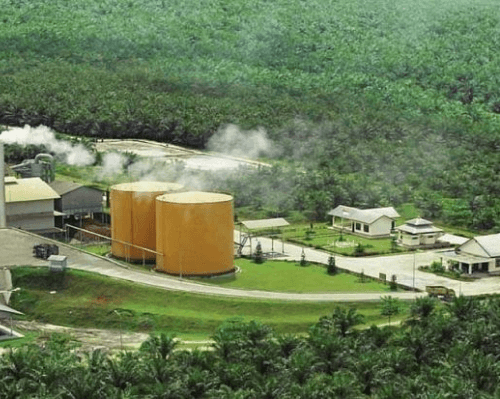 15000 Ha Palm Oil Plantation with Mill